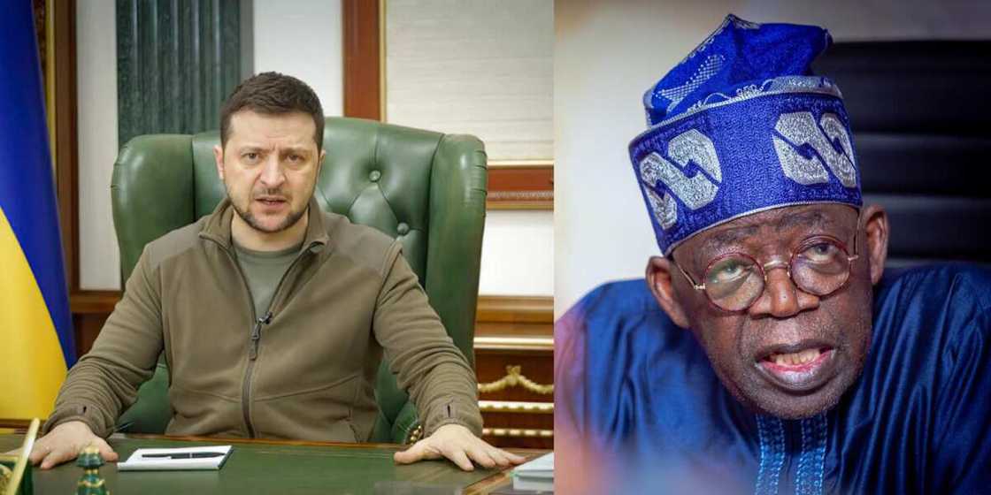 Zelenskyy da Tinubu Zelenskyy da Tinubu