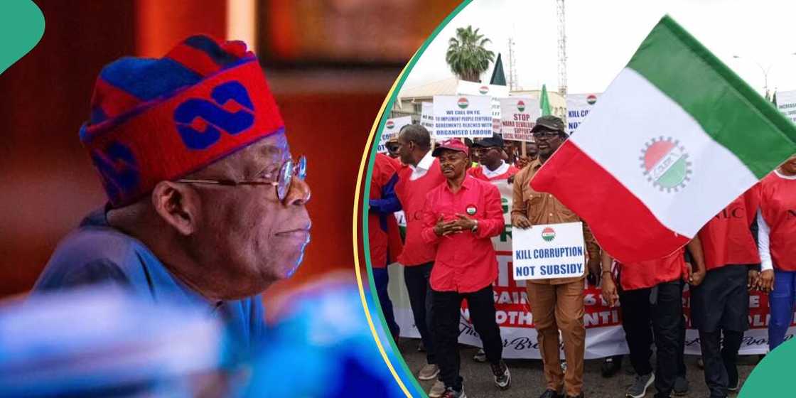NLC strike/NLC strike update NLC strike/NLC strike update
