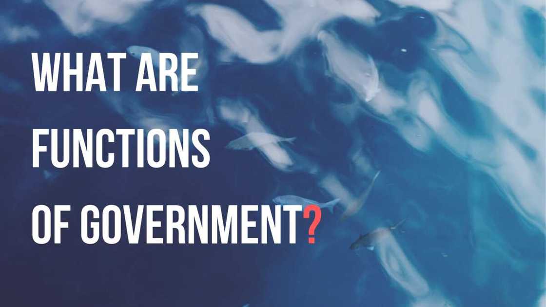 Major functions of government in a state Major functions of government in a state