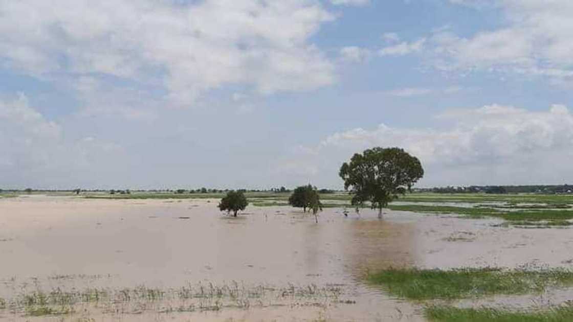 Ambaliyar ruwa ta salwantar da rayuka 8, gonakin sun kwashe a Katsina Ambaliyar ruwa ta salwantar da rayuka 8, gonakin sun kwashe a Katsina
