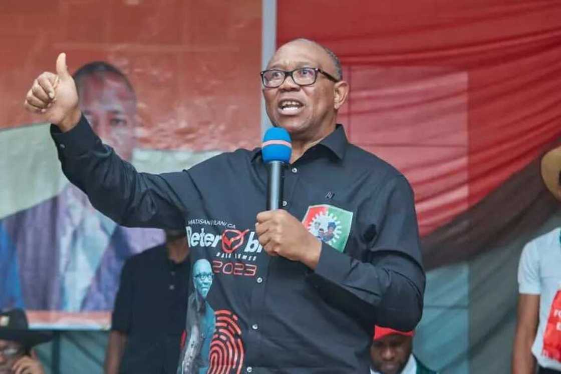 Peter Obi, Tribunal Judgment Peter Obi, Tribunal Judgment