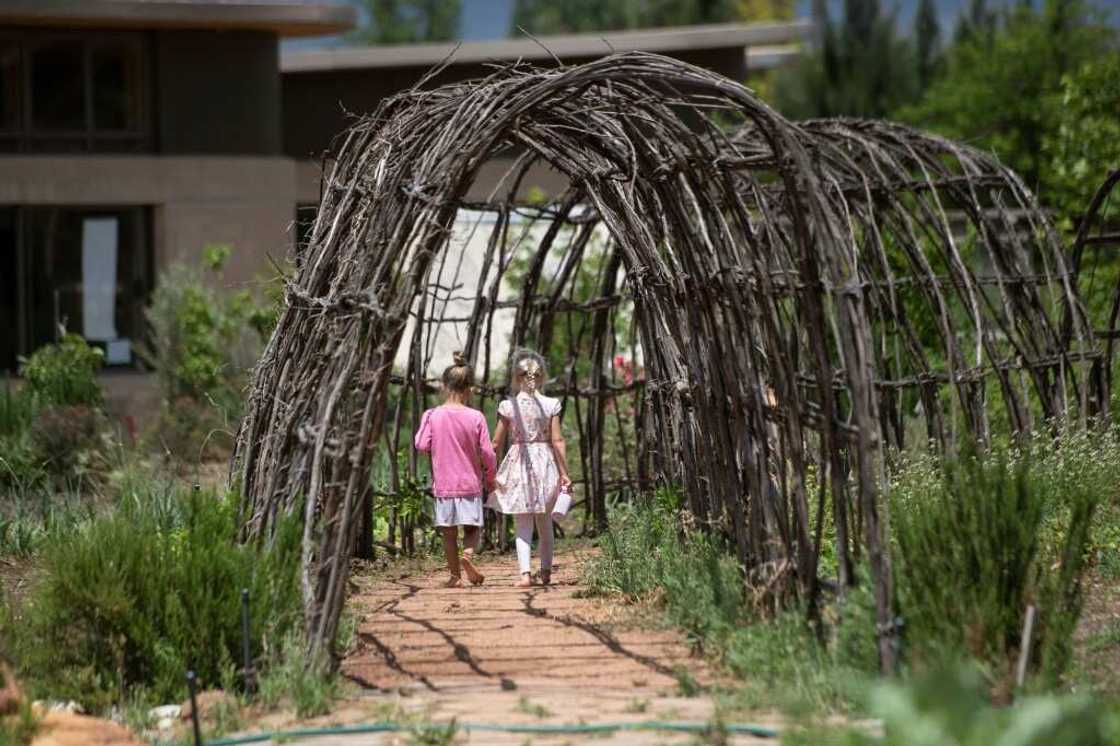 The school grounds boast playgrounds with swings, huts and sandboxes, while the canteen's zero-waste kitchen serves only vegetarian meals The school grounds boast playgrounds with swings, huts and sandboxes, while the canteen's zero-waste kitchen serves only vegetarian meals