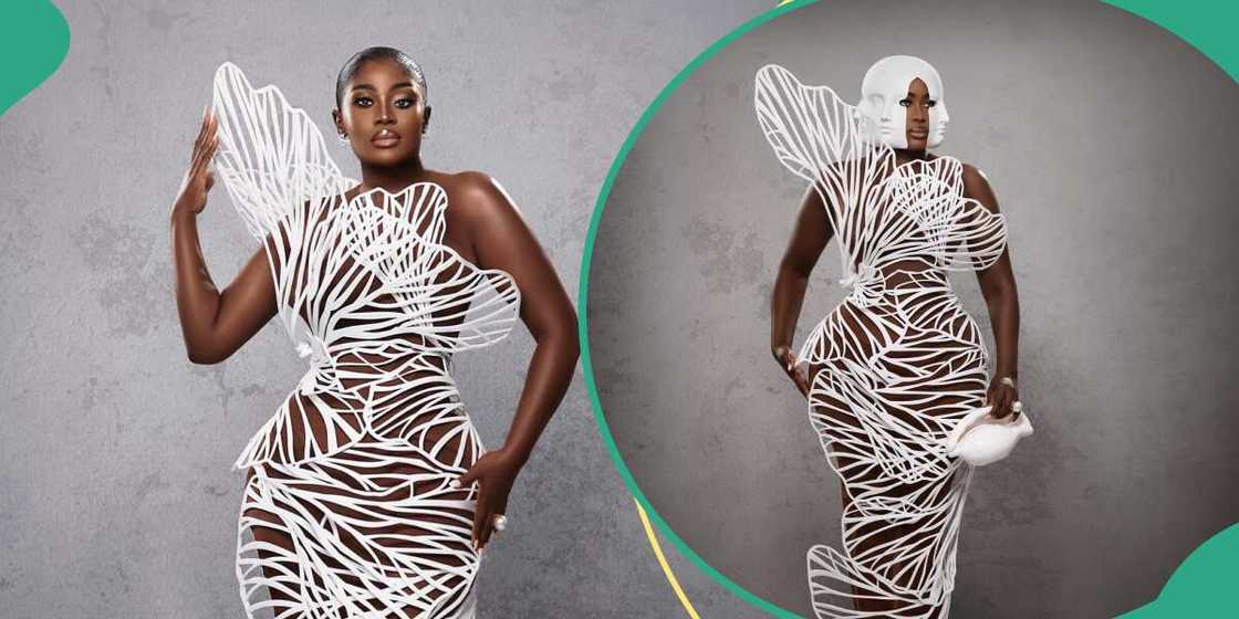 Nana Addo's 3D dress