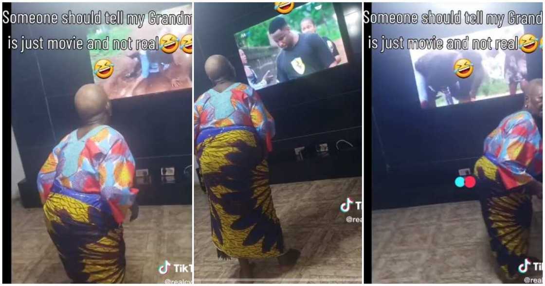 Grandma, separate fight, Zubby Michael Grandma, separate fight, Zubby Michael