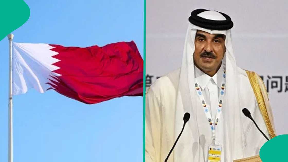 Qatar outlines 4 types of visa visitors can obtain before entering the country
