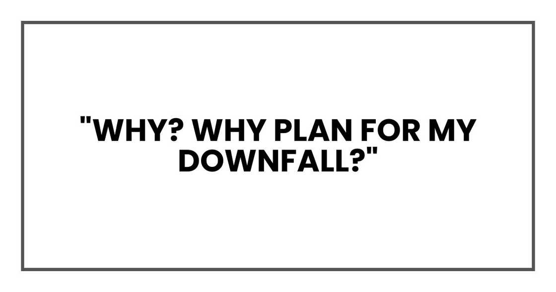 "Why? Why plan for my downfall?"