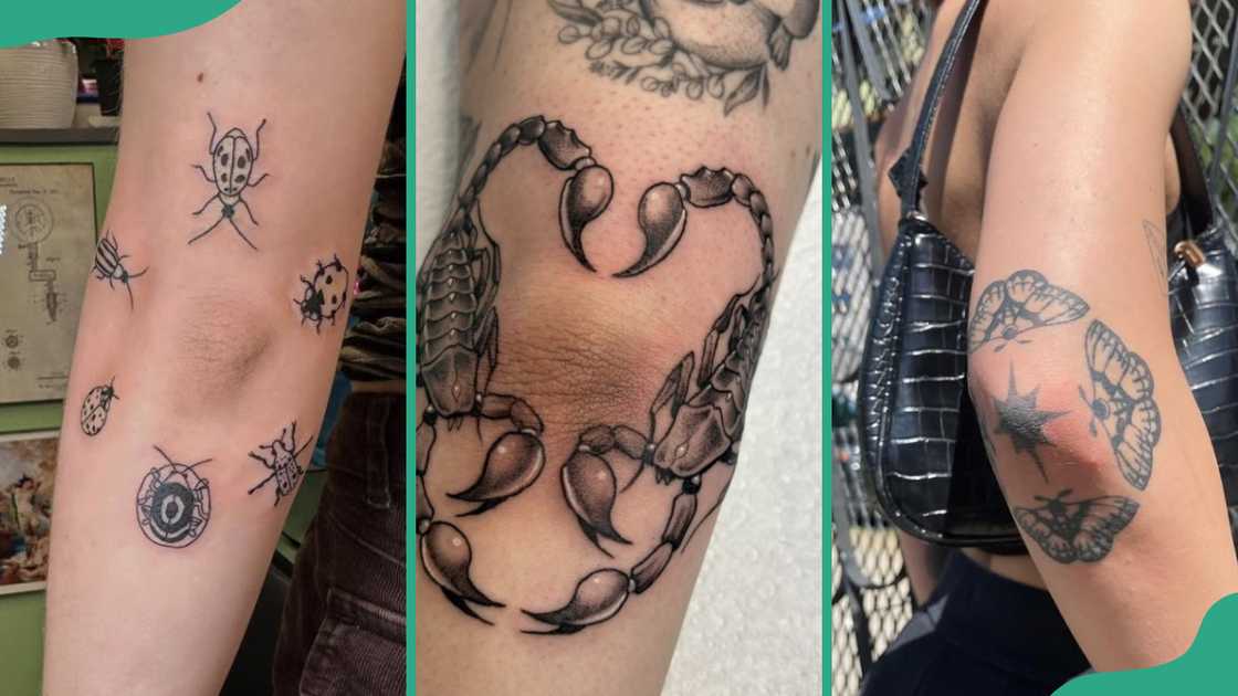 Lady luck bug (R), scorpion (C), and butterfly (R) Lady luck bug (R), scorpion (C), and butterfly (R)