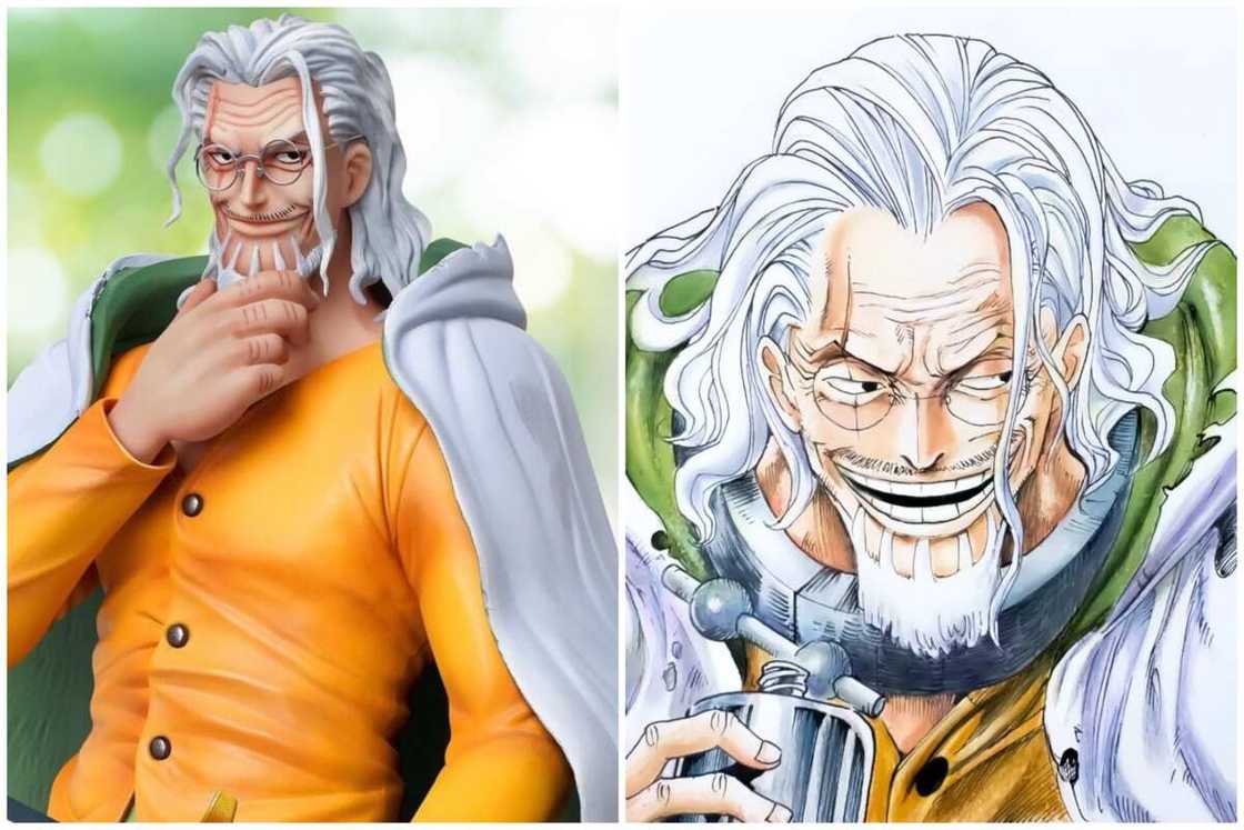 Strongest One Piece character