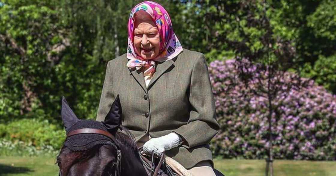 Buckingham Palace reported Queen Elizabeth spent Wednesday night in hospital. Photo: Getty Images. Buckingham Palace reported Queen Elizabeth spent Wednesday night in hospital. Photo: Getty Images.