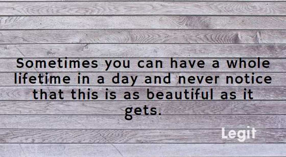 robin williams depression quotes robin williams depression quotes