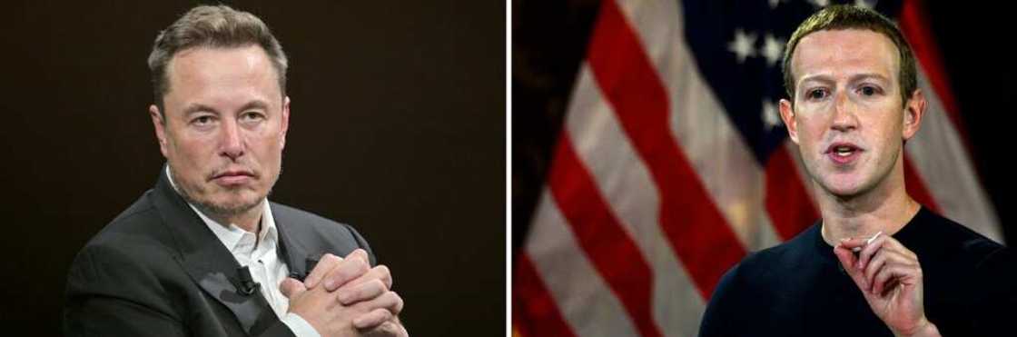Will tech titans Elon Musk and Mark Zuckerberg duke it out in a cage? Will tech titans Elon Musk and Mark Zuckerberg duke it out in a cage?