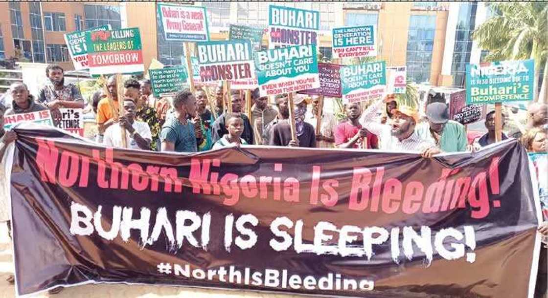 Go after sponsors of killers, stop accusing us, Northeast Youths tasks FG