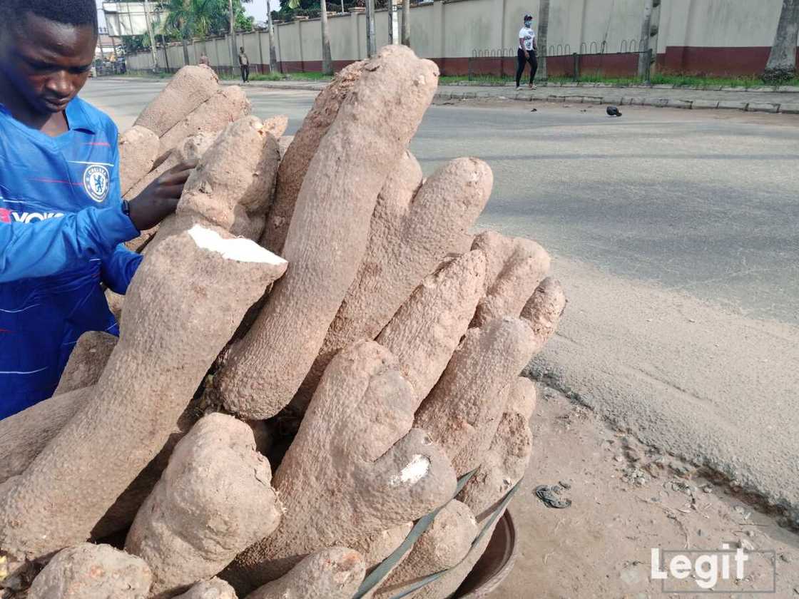 Legit.ng weekly price check: Top 8 goods whose cost price have dropped in Lagos market this January Legit.ng weekly price check: Top 8 goods whose cost price have dropped in Lagos market this January