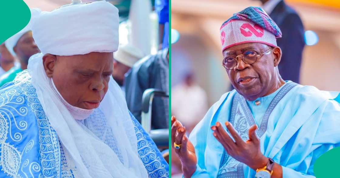 Sheikh Muhamma Bashir.