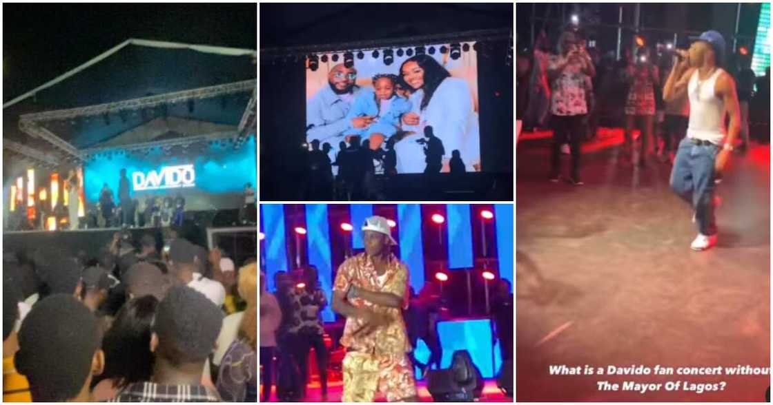 Davido's fan concert Davido's fan concert