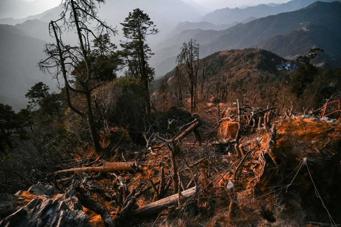 Critics of Nepal's cable car projects accuse the government of failing to assess the environmental impact properly Critics of Nepal's cable car projects accuse the government of failing to assess the environmental impact properly