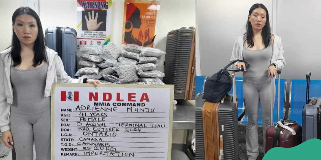 NDLEA arrests Canadian lady with illicit drugs at Lagos airport NDLEA arrests Canadian lady with illicit drugs at Lagos airport