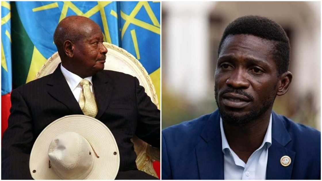 Uganda poll: Falana drags President Museveni to UN over opposition leader Bobi Wine Uganda poll: Falana drags President Museveni to UN over opposition leader Bobi Wine