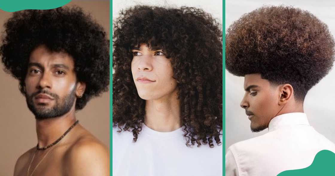 Afro curls celebrating natural volume and shape. Afro curls celebrating natural volume and shape.