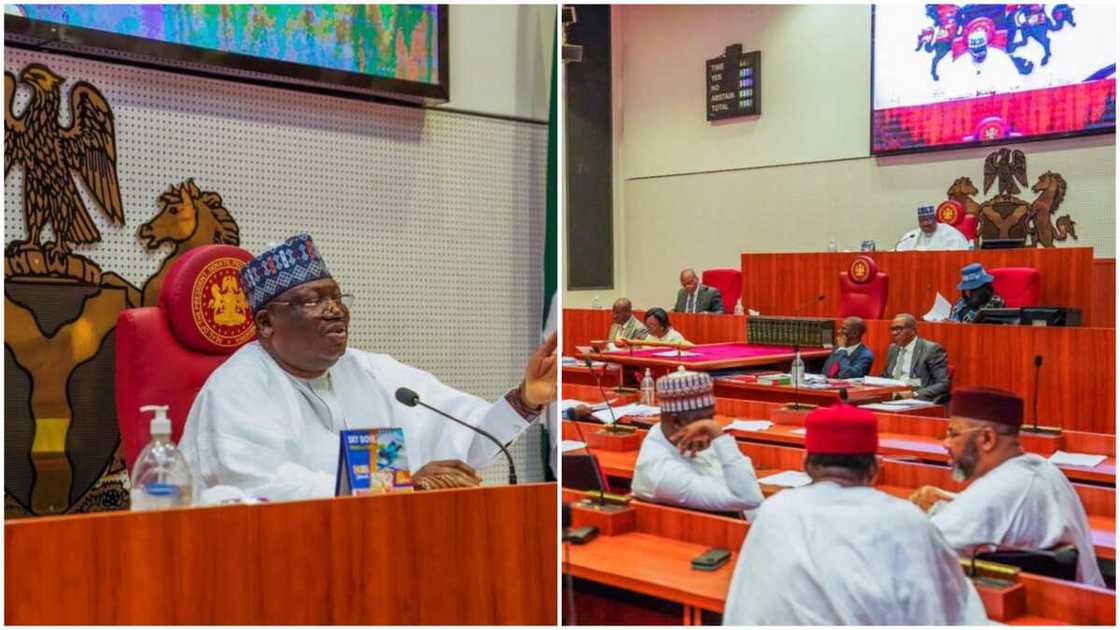 INEC RECs/Nigerian Senate/2023 Elections