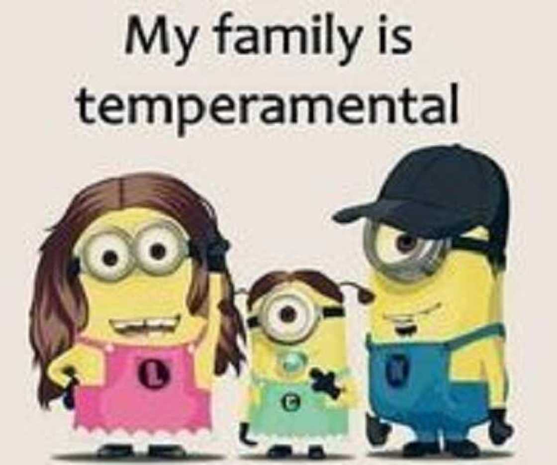 facebook minion memes