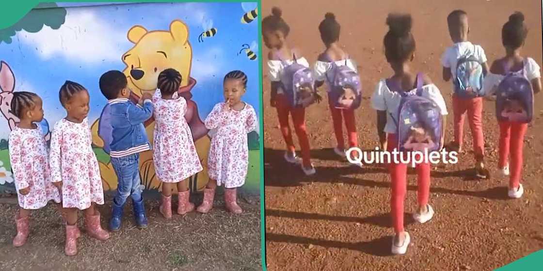 Quintuplets going to school. Quintuplets going to school.