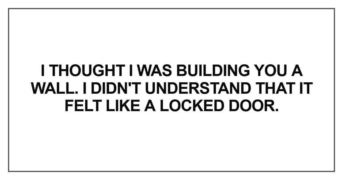 I thought I was building you a wall. I didn't understand that I thought I was building you a wall. I didn't understand that