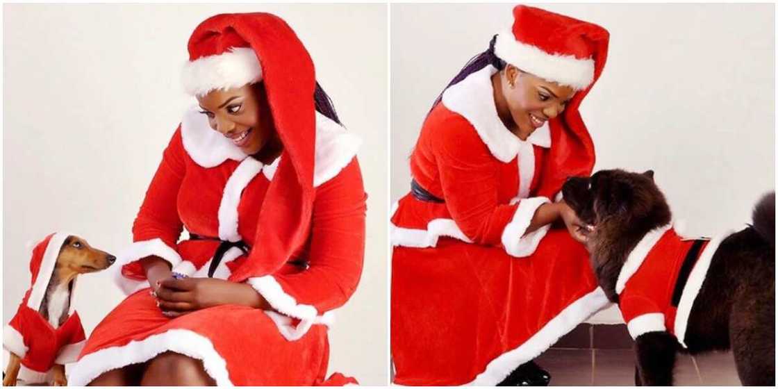 Empress Njamah and her dogs Empress Njamah and her dogs