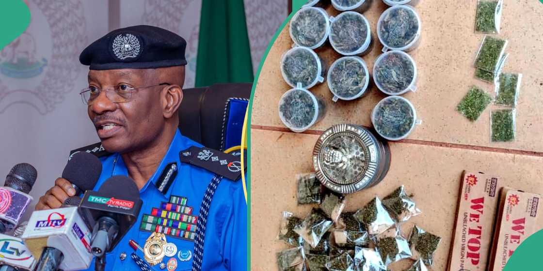 The drug dealer was arrested inside a container. The drug dealer was arrested inside a container.