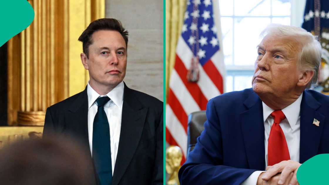 Reports say that President Donald Trump did allow Elon Musk to hire non-US citizen for his DOGE department. Reports say that President Donald Trump did allow Elon Musk to hire non-US citizen for his DOGE department.