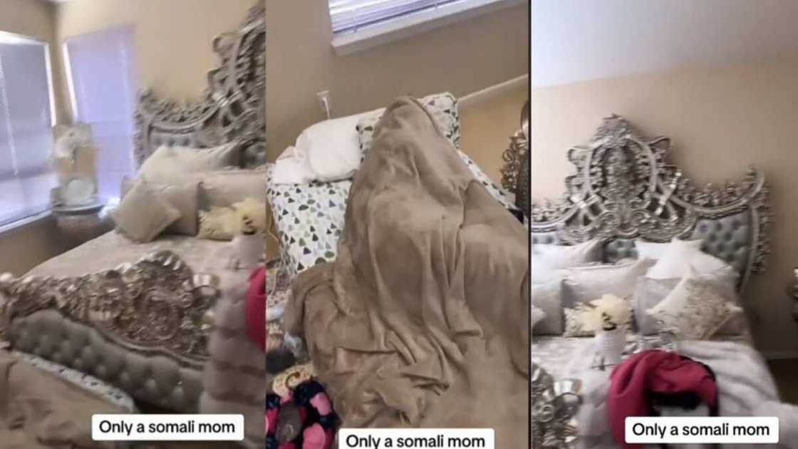 The couch and the beautiful bed. The couch and the beautiful bed.