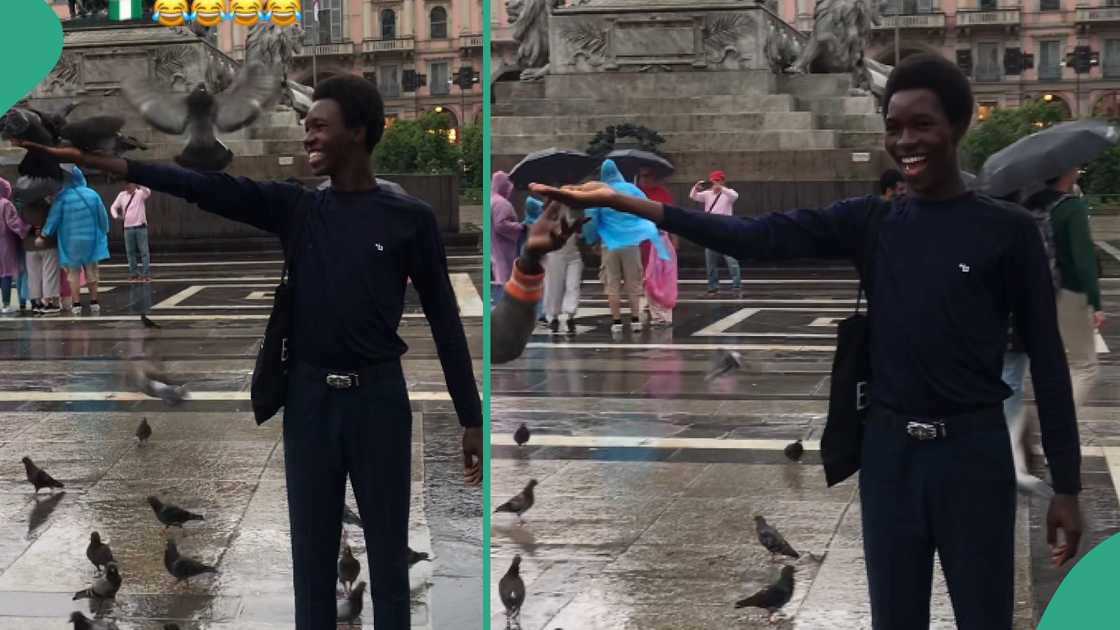 Man says birds perched on his body abroad.