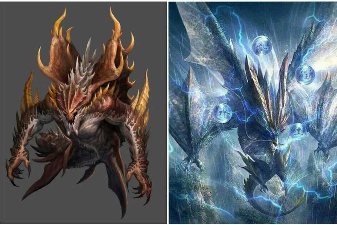 Different types of dragons around the world Different types of dragons around the world