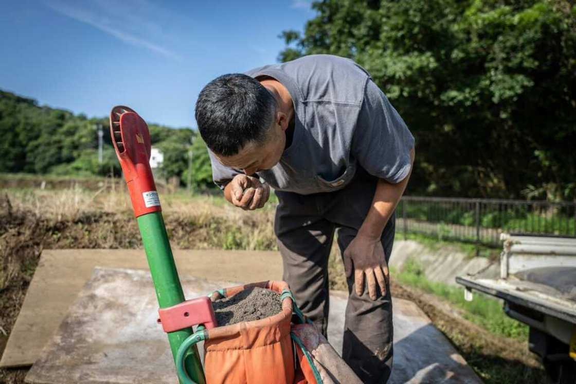 Shimogoe is made from a combination of treated sewage sludge from septic tanks and human waste from cesspits