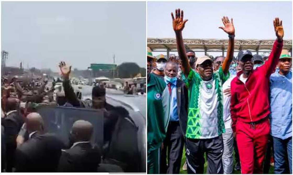 Osinbajo and Tinubu popularity test