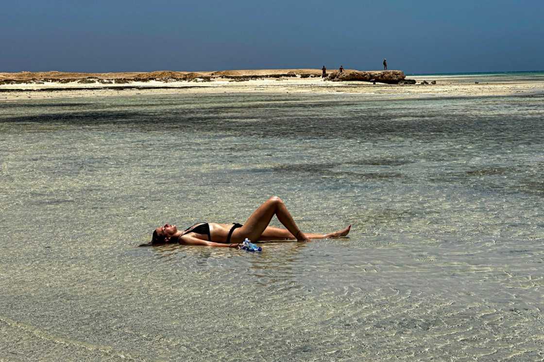 The UN Development Programme describes Ras Hankorab as home to "some of the last undisturbed natural beaches on the Southern Red Sea coast" -- an area now caught between environmental protection and Egypt's urgent push for investment The UN Development Programme describes Ras Hankorab as home to "some of the last undisturbed natural beaches on the Southern Red Sea coast" -- an area now caught between environmental protection and Egypt's urgent push for investment