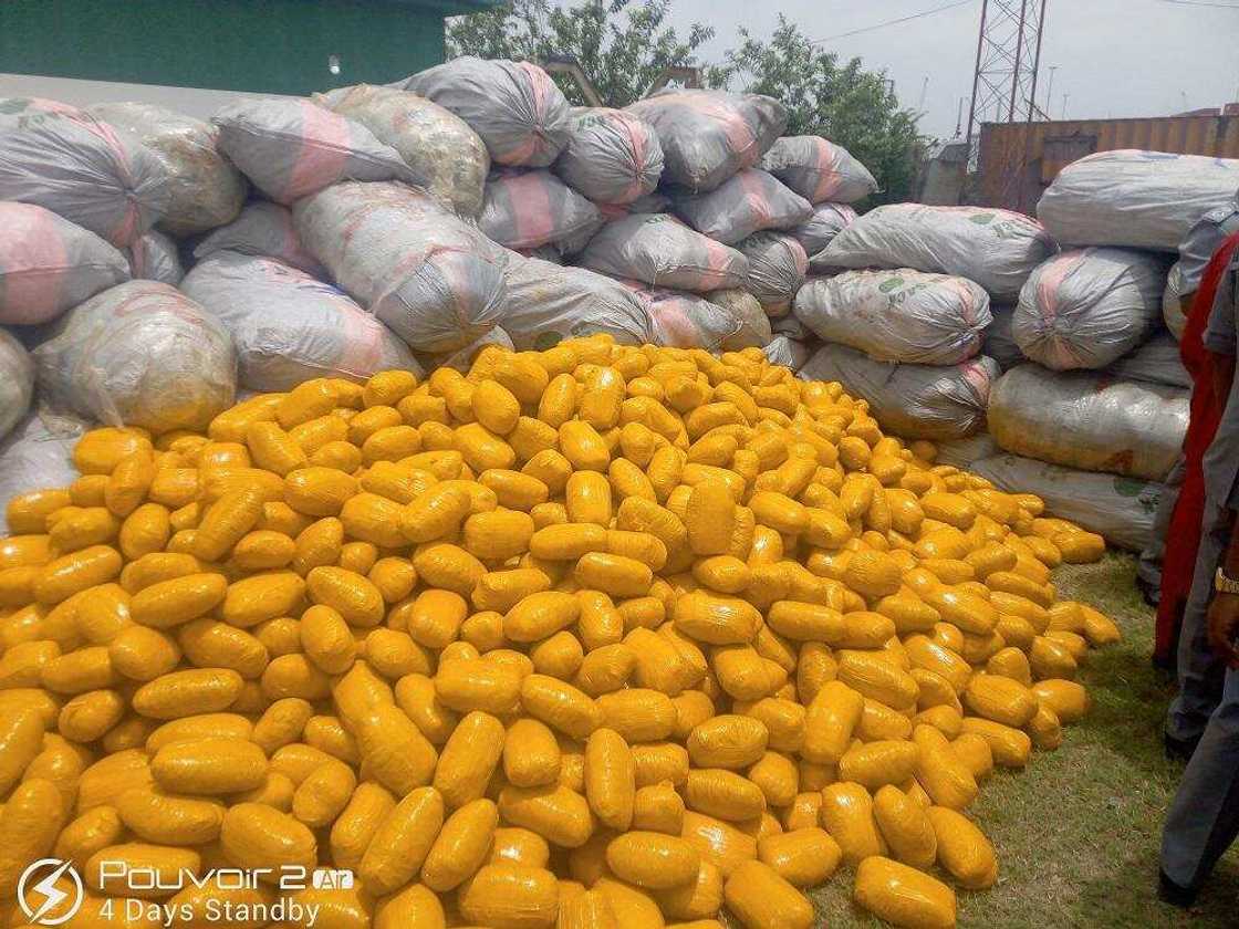 Babban kamu: Jami’an kwastam sun tare tabar wiwin Naira Biliyan 1 a Najeriya Babban kamu: Jami’an kwastam sun tare tabar wiwin Naira Biliyan 1 a Najeriya