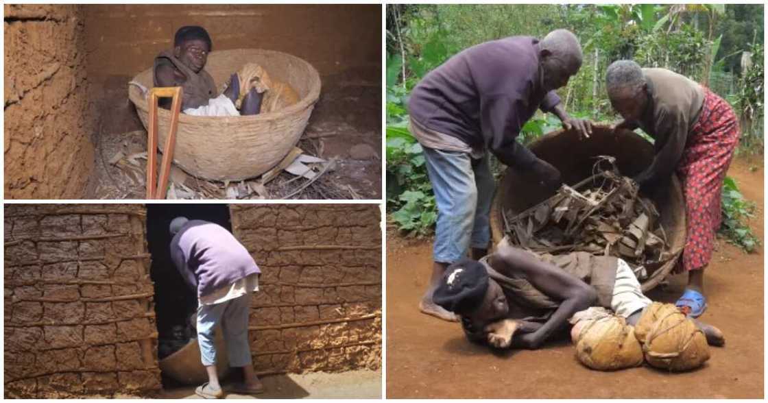 Dominico, 40 years in a basket, help Dominico, 40 years in a basket, help