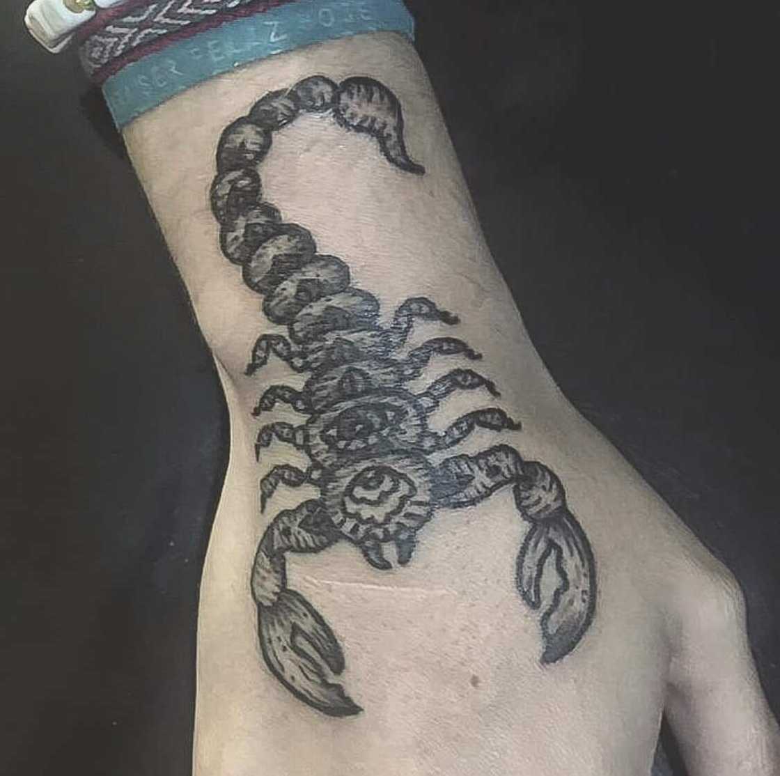 Scorpion symbol Scorpion symbol