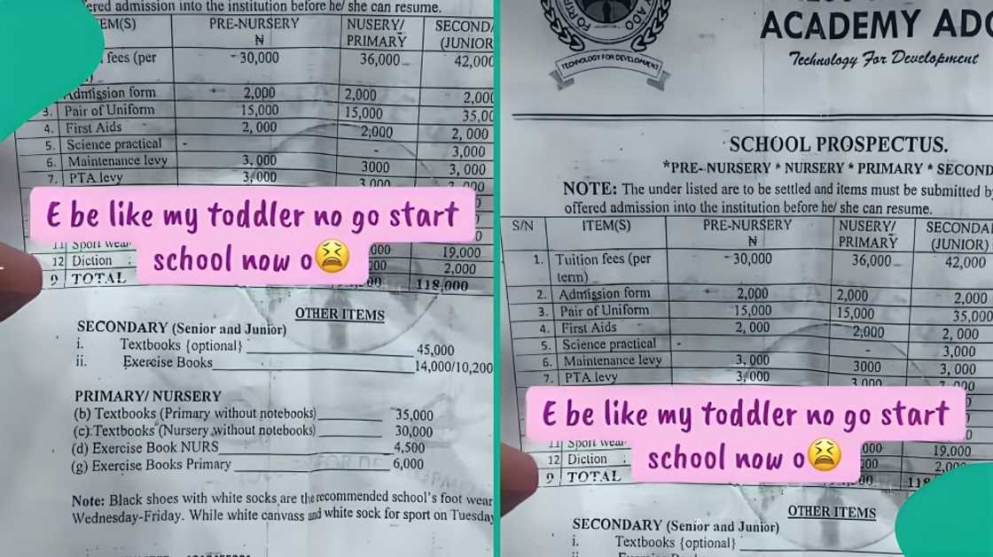 Mother shocked by high cost of nursery school fees, shares experience online Mother shocked by high cost of nursery school fees, shares experience online