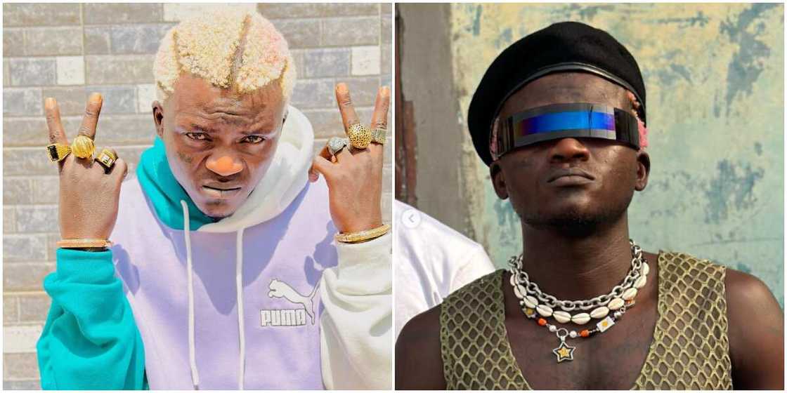 Singer Portable Singer Portable