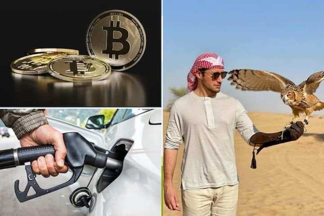 Miloniyan crypto da baku san dashi ba Miloniyan crypto da baku san dashi ba