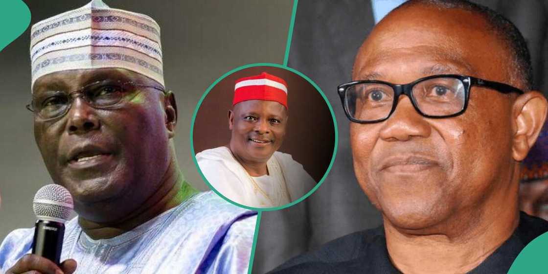 PDP, NNPP, APC, LP, Pat Utomi, 2023 election PDP, NNPP, APC, LP, Pat Utomi, 2023 election