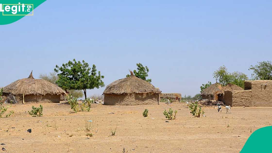 A disease outbreak hits bandits’ camps in Niger and Zamfara, compounded by severe lack of food and medicines. A disease outbreak hits bandits’ camps in Niger and Zamfara, compounded by severe lack of food and medicines.