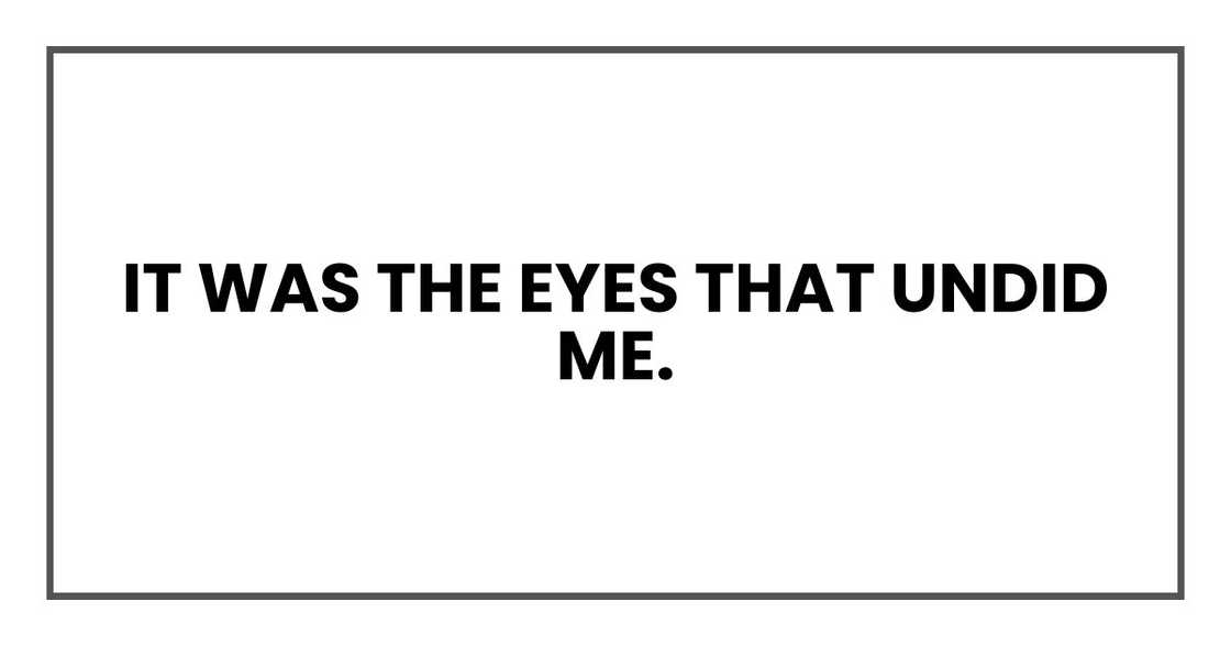 It was the eyes that undid me.