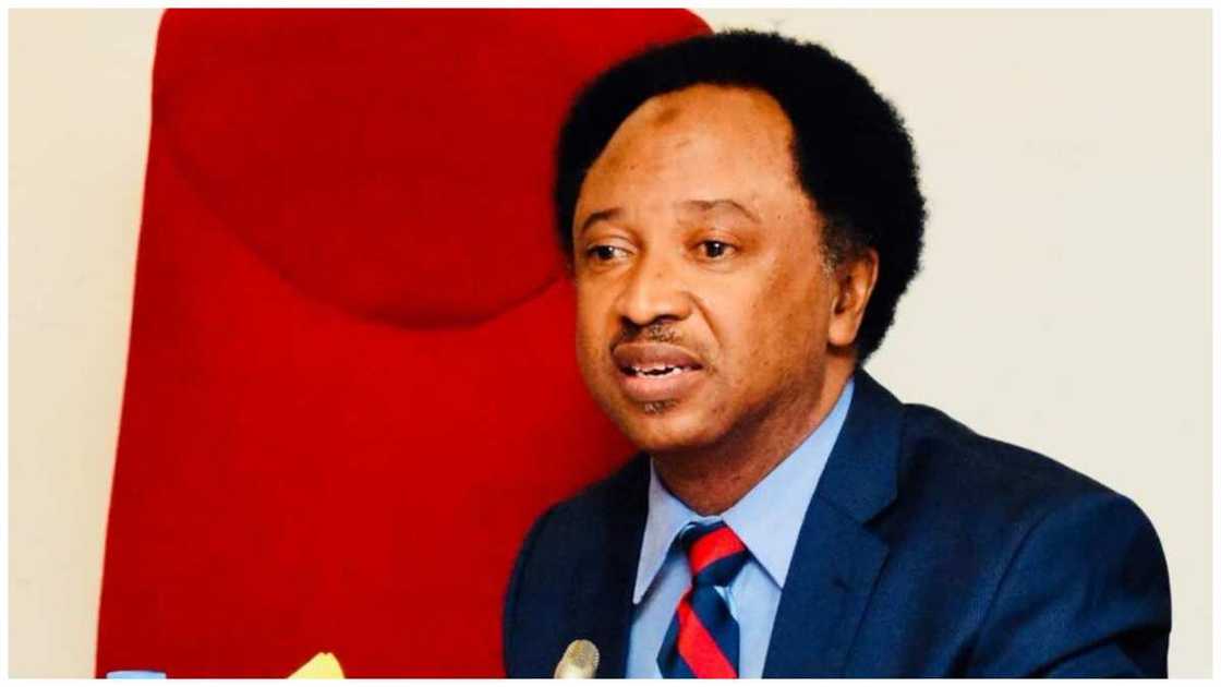 Senator Shehu Sani triumphs in APC Primary, poised for 2027 election showdown