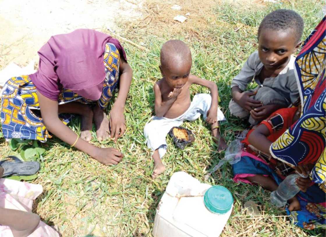 Hotuna: Yadda kungiyar Darul-Salam ta kafu a jihar Nasarawa Hotuna: Yadda kungiyar Darul-Salam ta kafu a jihar Nasarawa