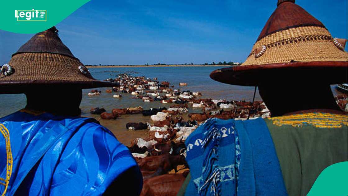 An fara tsangwamar Fulani a Kudancin Najeriya