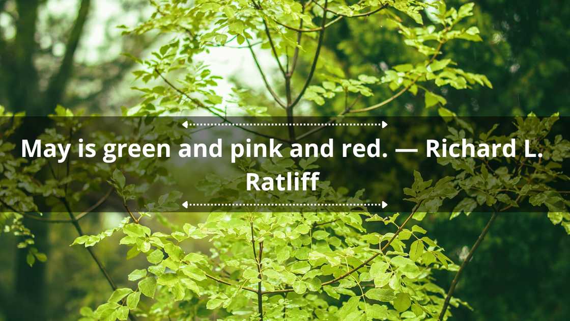 Short quotes about May Short quotes about May