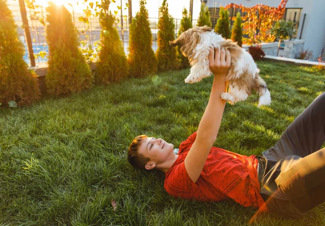 A boy with his puppy A boy with his puppy